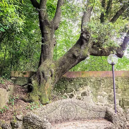 Nizzi Nuti Serravalle Pistoiese
